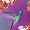 30d8a3a42aebe3334a74473b2fd0517c 1