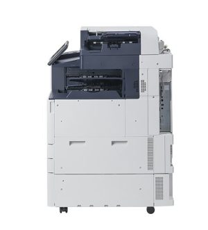 40317c85218cb36f3f4b2349886f5729 1