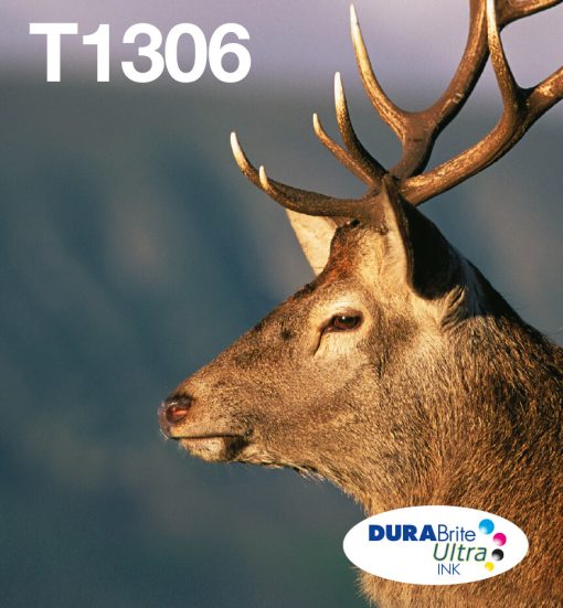 a8c0908e920978d686ada2dd9f7b472b